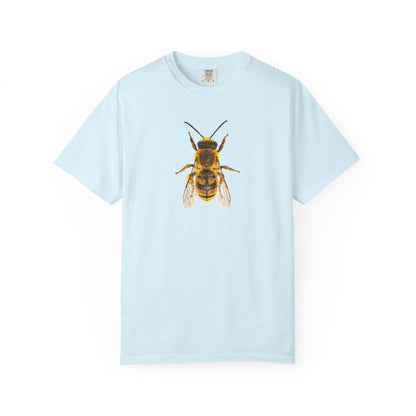 Bee Graphic T-Shirt — Vintage Honeybee Illustration Tee