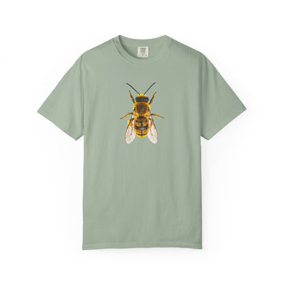 Bee Graphic T-Shirt — Vintage Honeybee Illustration Tee
