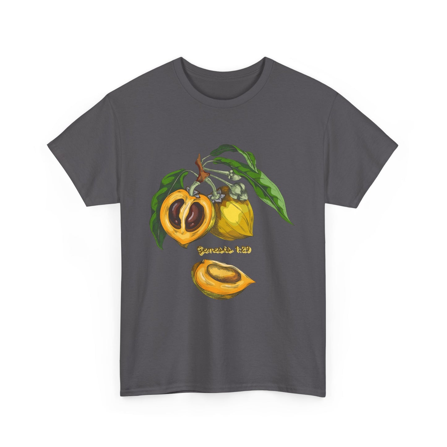 Apricot Illustration T-Shirt — Botanical Fruit Graphic Tee Genesis 1:29