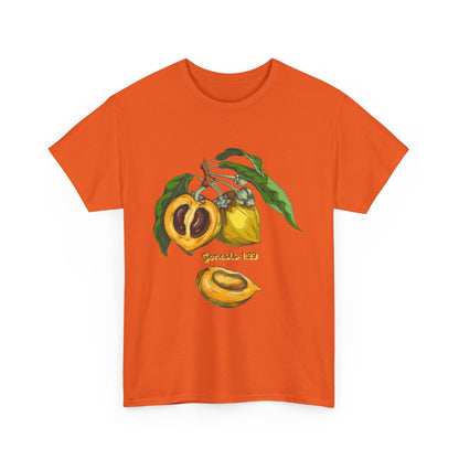 Apricot Illustration T-Shirt — Botanical Fruit Graphic Tee Genesis 1:29