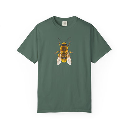Bee Graphic T-Shirt — Vintage Honeybee Illustration Tee