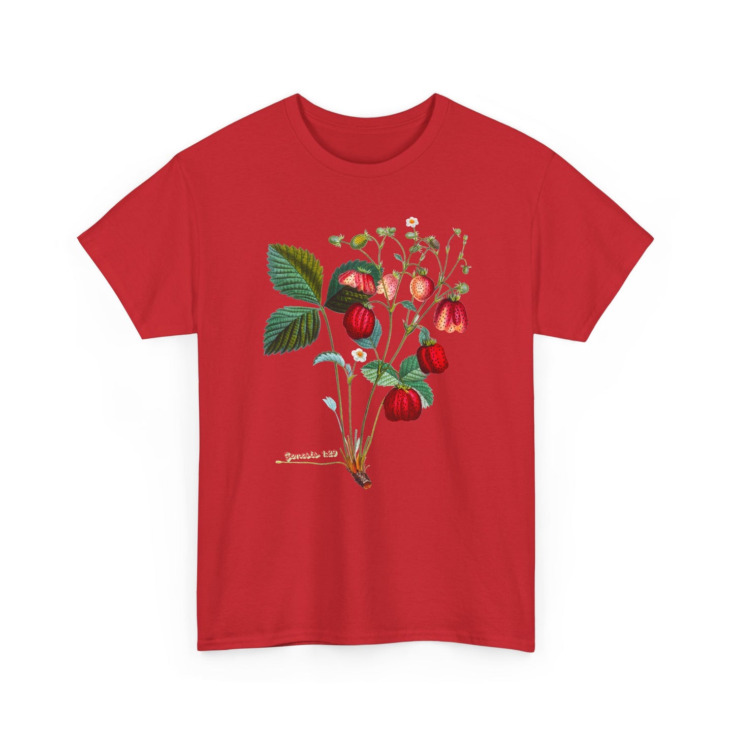 Strawberry Botanical Tee — Vintage Fruit Illustration T-Shirt Genesis 1:29