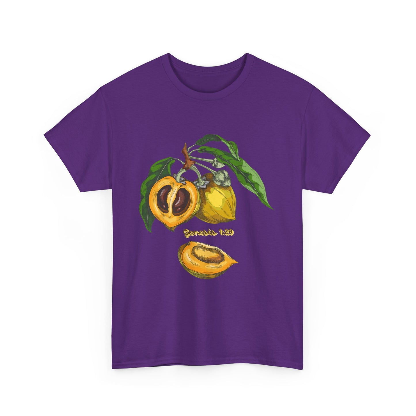 Apricot Illustration T-Shirt — Botanical Fruit Graphic Tee Genesis 1:29