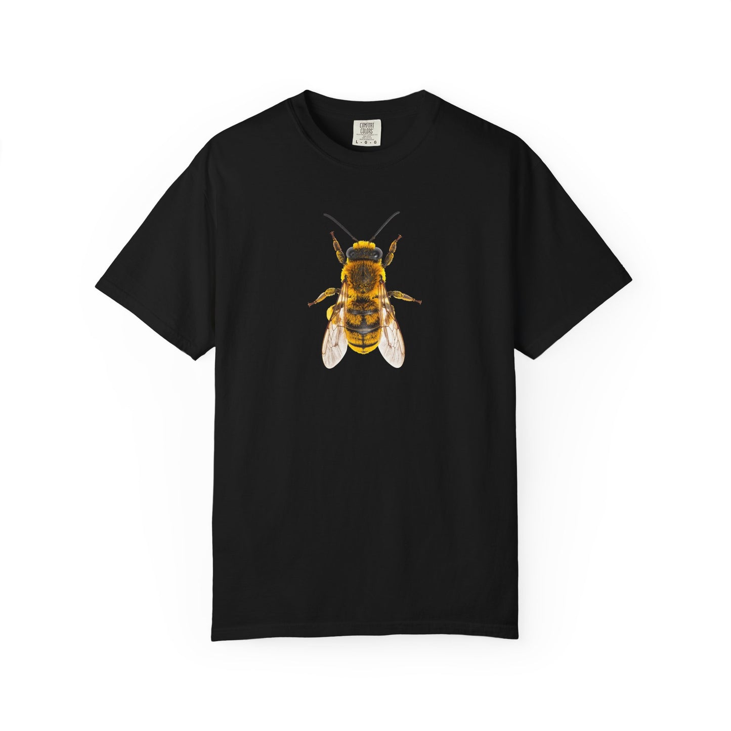 Bee Graphic T-Shirt — Vintage Honeybee Illustration Tee
