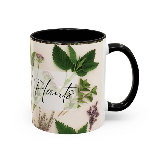 Medicinal Plants Accent Coffee Mug – Herbal Apothecary 11/15oz
