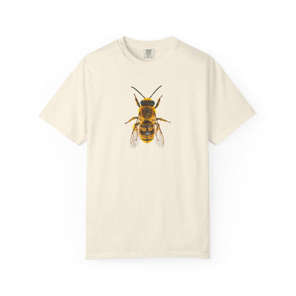 Bee Graphic T-Shirt — Vintage Honeybee Illustration Tee